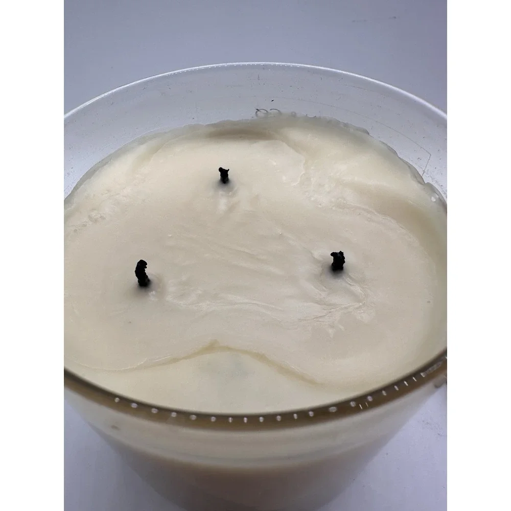 Bath & Body Works Slatkin & Co. WINTER 3-wick Scented Candle 14.5 oz RARE‎